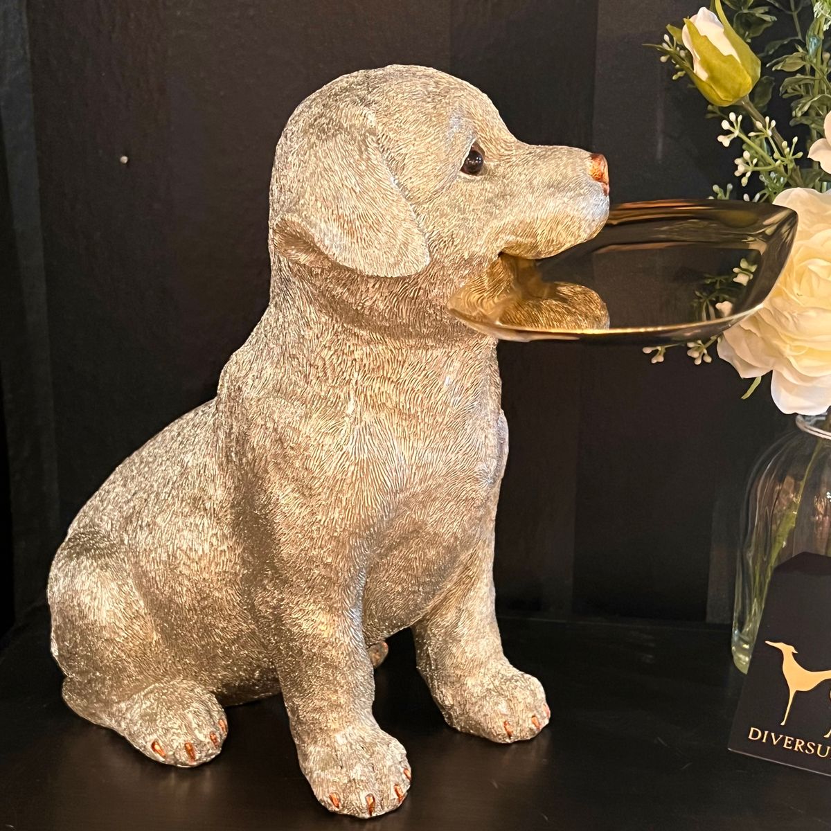 Labrador hund med fat