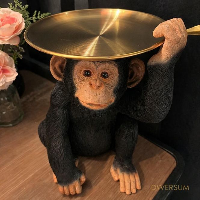 Hovedbilde Ape med brett