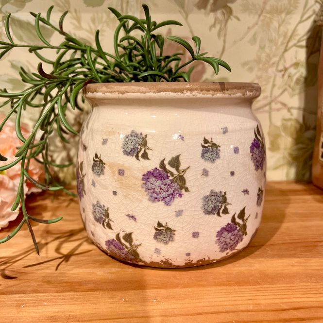 Hovedbilde Potte Blå Hortensia