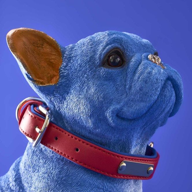 Hovedbilde Molly blå fransk bulldog hundefigur