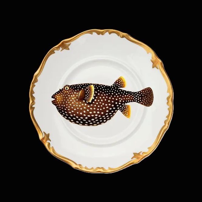 Hovedbilde Dekkebrikke Waga