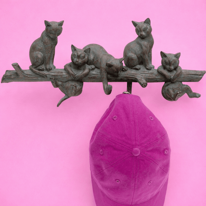 Hovedbilde Cats Life Knaggrekke 