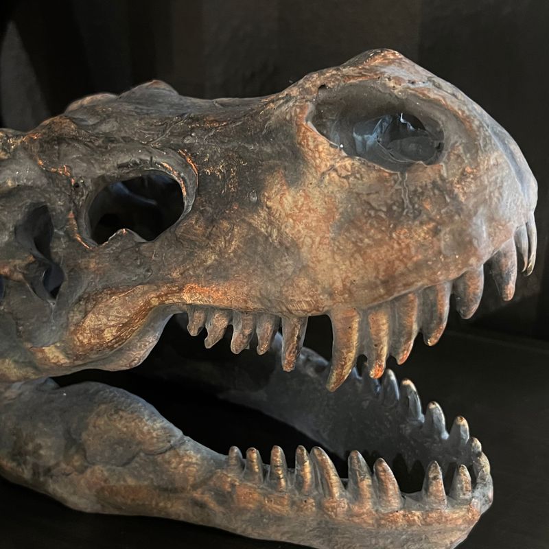 T Rex Hodeskalle borddekor