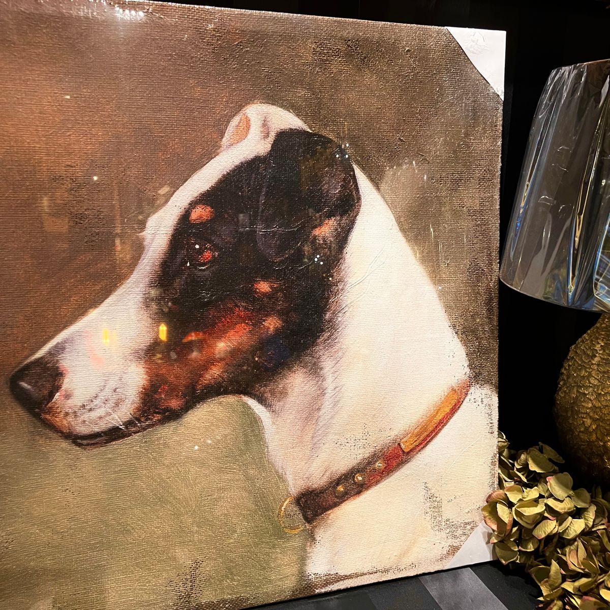 Bilde av Hund, 60x60 cm 