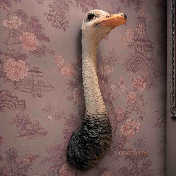 Hovedbilde Veggdekorasjon struts Ostrich Natur